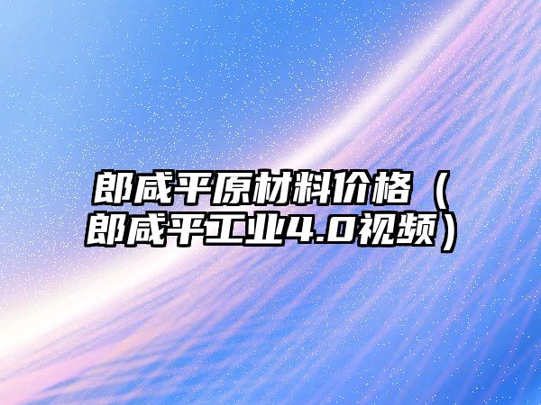 郎咸平原材料價格（郎咸平工業(yè)4.0視頻）