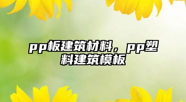 pp板建筑材料，pp塑料建筑模板