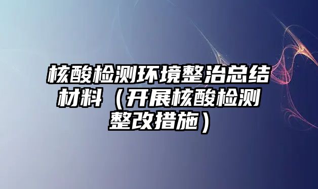 核酸檢測環(huán)境整治總結(jié)材料（開展核酸檢測整改措施）