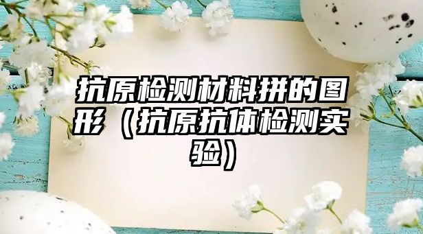 抗原檢測材料拼的圖形（抗原抗體檢測實驗）