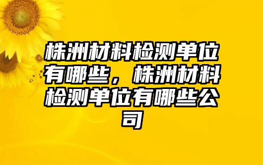 株洲材料檢測單位有哪些，株洲材料檢測單位有哪些公司