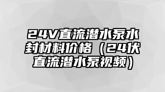 24V直流潛水泵水封材料價(jià)格（24伏直流潛水泵視頻）