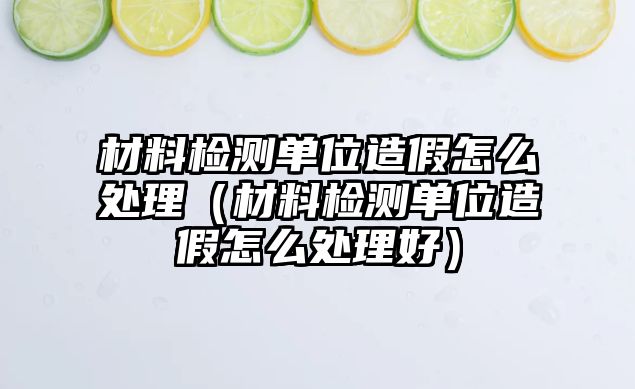 材料檢測(cè)單位造假怎么處理（材料檢測(cè)單位造假怎么處理好）