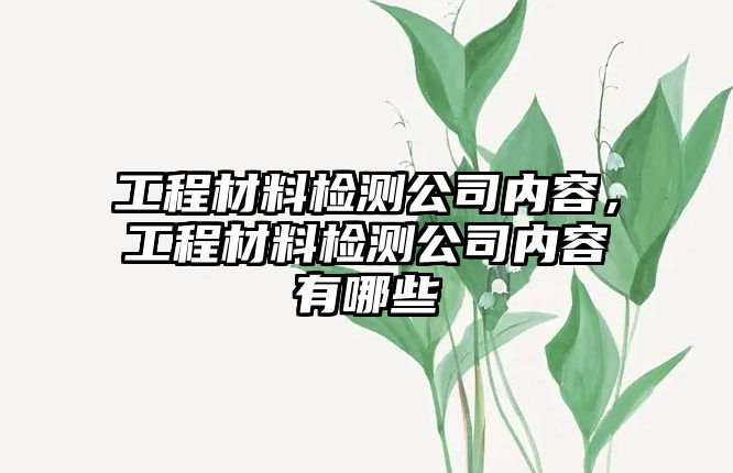 工程材料檢測(cè)公司內(nèi)容，工程材料檢測(cè)公司內(nèi)容有哪些