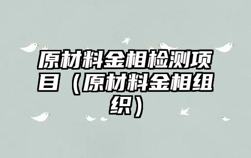 原材料金相檢測項目（原材料金相組織）