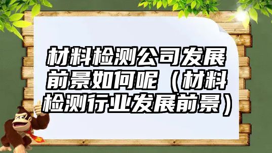 材料檢測(cè)公司發(fā)展前景如何呢（材料檢測(cè)行業(yè)發(fā)展前景）