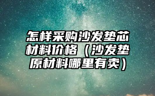 怎樣采購沙發(fā)墊芯材料價格（沙發(fā)墊原材料哪里有賣）