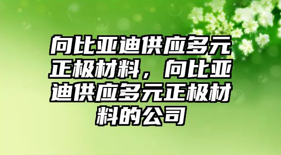 向比亞迪供應(yīng)多元正極材料，向比亞迪供應(yīng)多元正極材料的公司