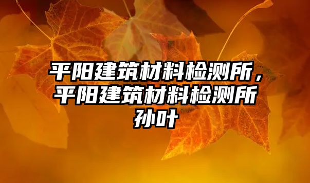 平陽建筑材料檢測所，平陽建筑材料檢測所孫葉