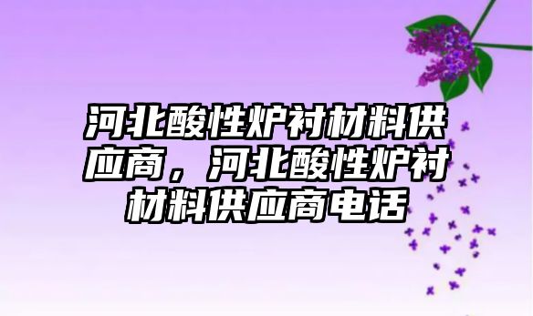 河北酸性爐襯材料供應(yīng)商，河北酸性爐襯材料供應(yīng)商電話