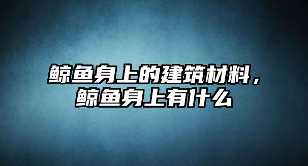 鯨魚身上的建筑材料，鯨魚身上有什么