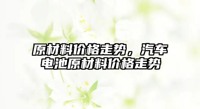 原材料價格走勢，汽車電池原材料價格走勢