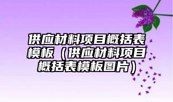 供應(yīng)材料項目概括表模板（供應(yīng)材料項目概括表模板圖片）