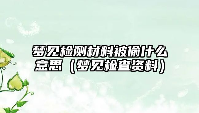 夢見檢測材料被偷什么意思（夢見檢查資料）