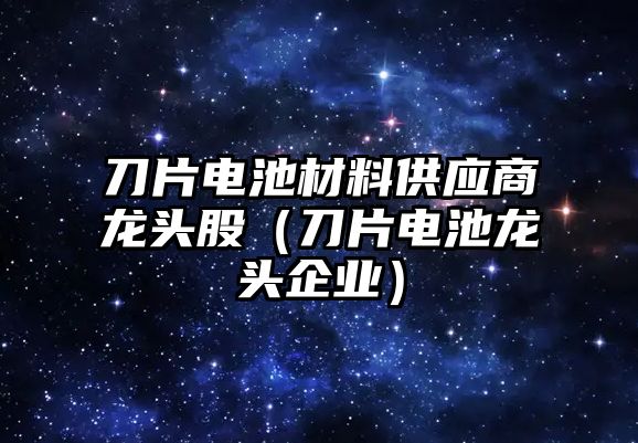 刀片電池材料供應(yīng)商龍頭股（刀片電池龍頭企業(yè)）