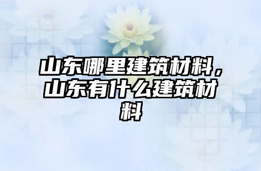 山東哪里建筑材料，山東有什么建筑材料