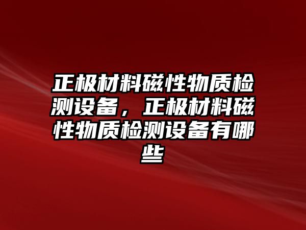 正極材料磁性物質(zhì)檢測設(shè)備，正極材料磁性物質(zhì)檢測設(shè)備有哪些